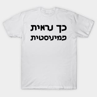 This Is What A Feminist Looks Like (Hebrew, Feminine) T-Shirt